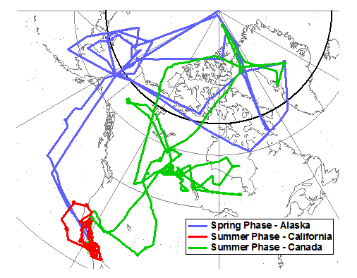ARCTAS Summer and Spring Phase Flight Paths